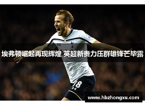 埃弗顿崛起再现辉煌 英超新贵力压群雄锋芒毕露